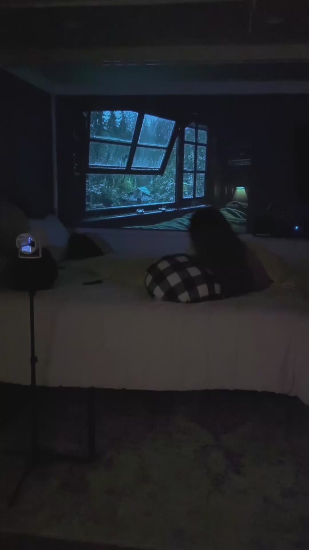 Charger la vidéo : 